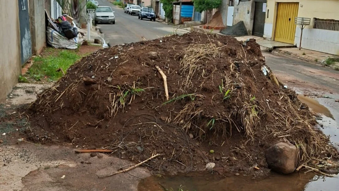 Programa ‘Cidade Limpa’ de Sumaré registra mais de 700 notificações em outubro - Todo Dia