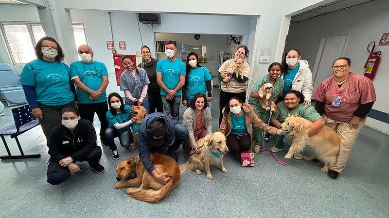 Cães terapeutas levam afeto e bem-estar a mais de 1.000 pessoas no Hospital Municipal e na Unacon - Notícias de Americana