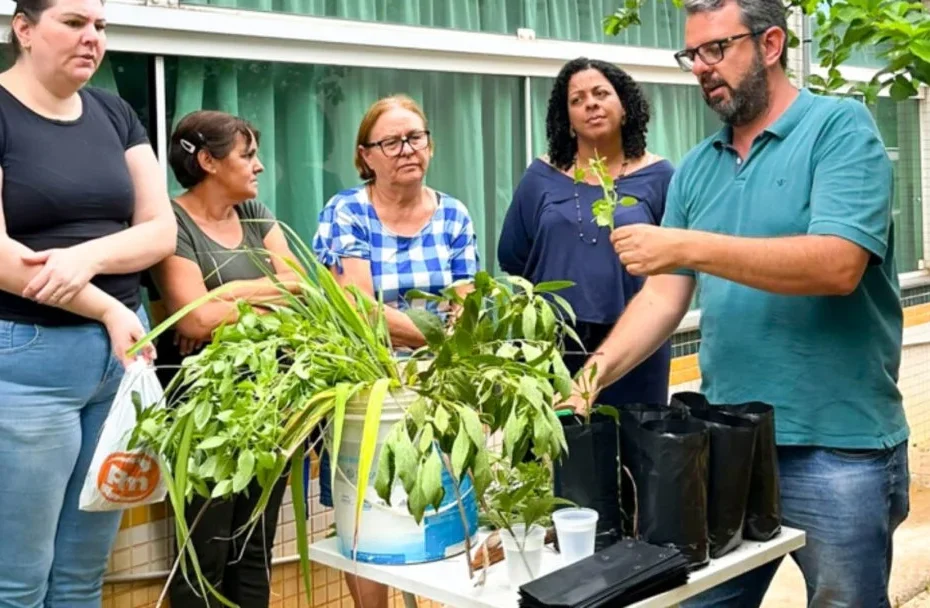 De bolo de cidreira a 'orelha-de-lebre' empanada: Horto Municipal revela o sabor oculto dos pratos - Todo Dia